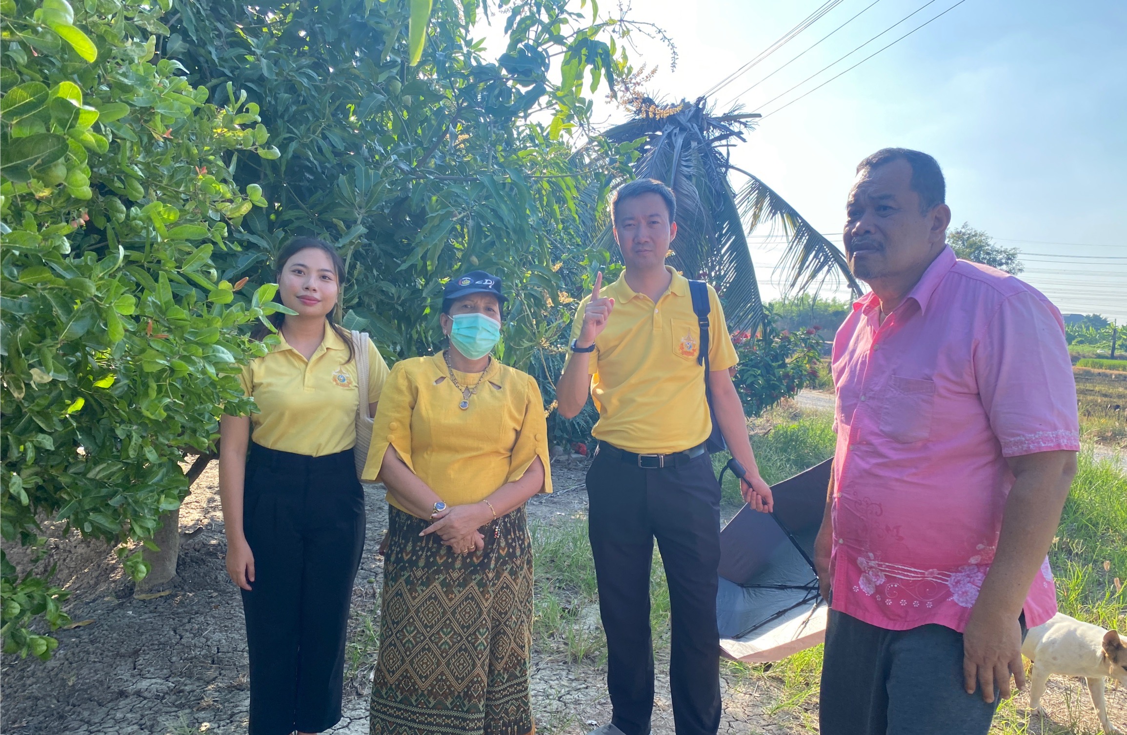 ”สพอ.ไทรน้อยลงพื้นที่เยี่ยมเยือนครัวเรือนต้นแบบการปลูกผักสวนครัวเพื่อสร้างความมั่นคงทางอาหาร ในพื้นที่ตำบลไทรน้อย“