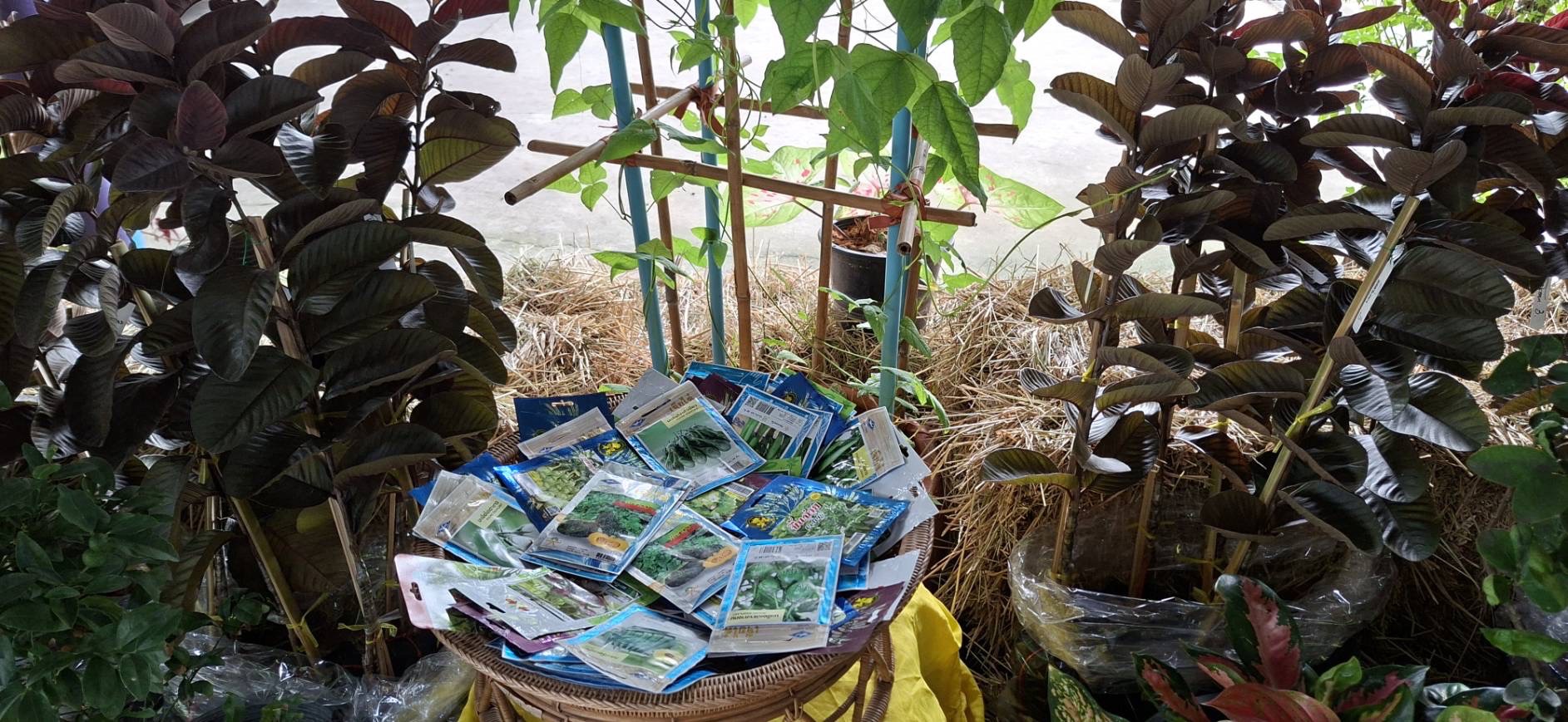 สพอ.ไทรน้อย ขับเคลื่อนกิจกรรมขยายผลการน้อมนำหลักปรัชญาของเศรษฐกิจพอเพียงสู่ครัวเรือนโดยรอบศูนย์เรียนรู้